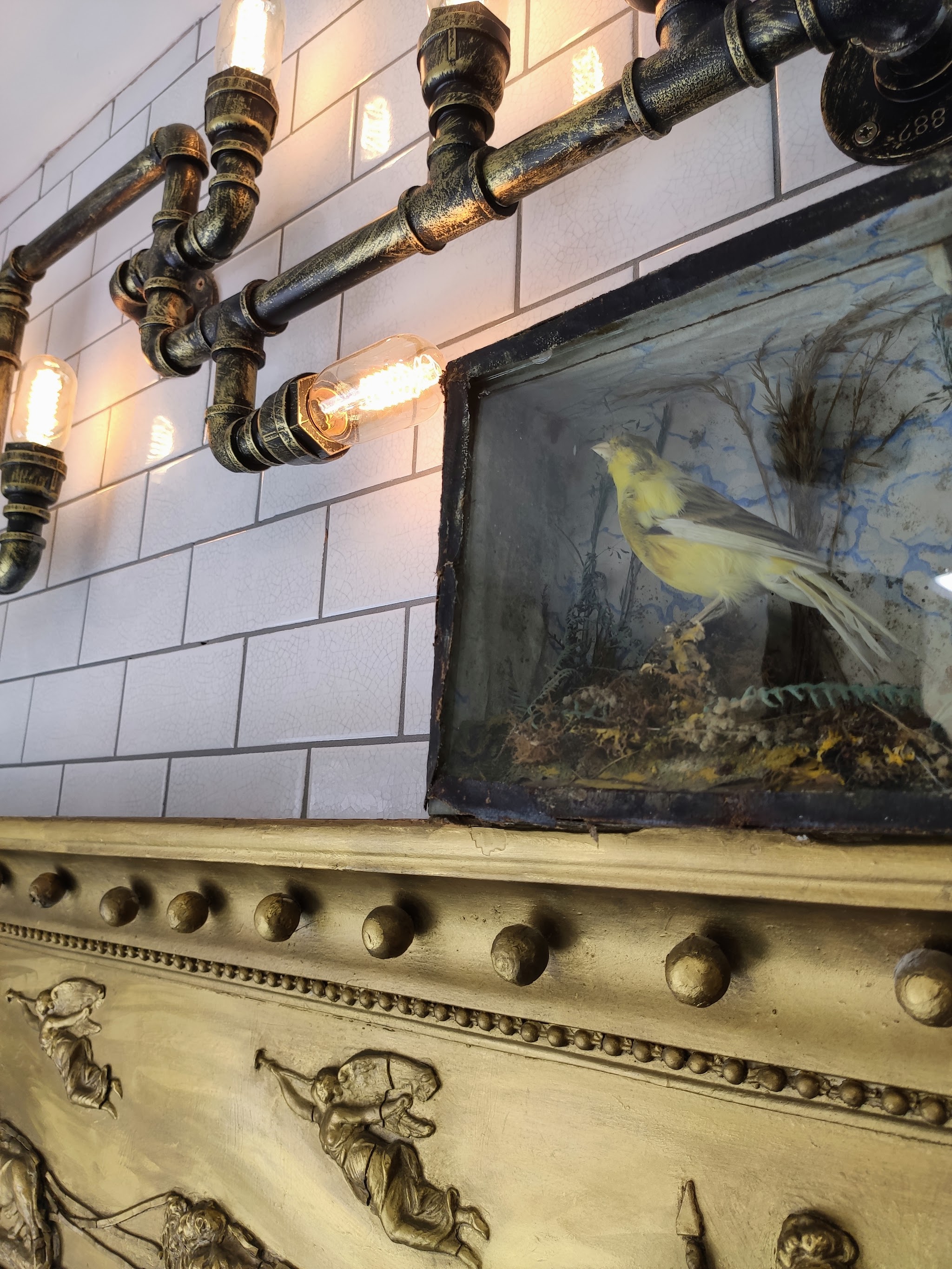 Pipe and Edison bulb wall lamp above a glass case with a taxidermy bird